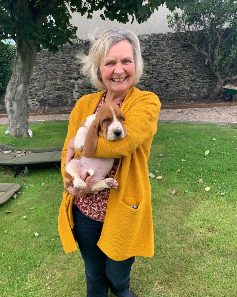 Basset hound breeder near me
