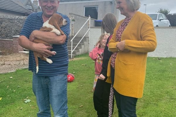 Basset hound breeder near me Basset hound breeder near me